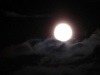 thumbs_dsc00782