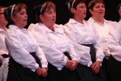 dsc00719