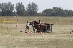 edi3523