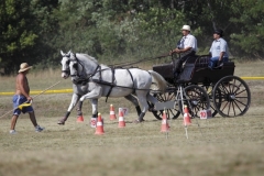 edi3593