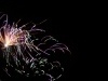 thumbs_dsc04198