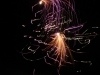 thumbs_dsc04199