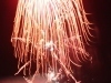 thumbs_dsc04202