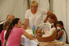 dsc03930