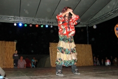 dsc04176