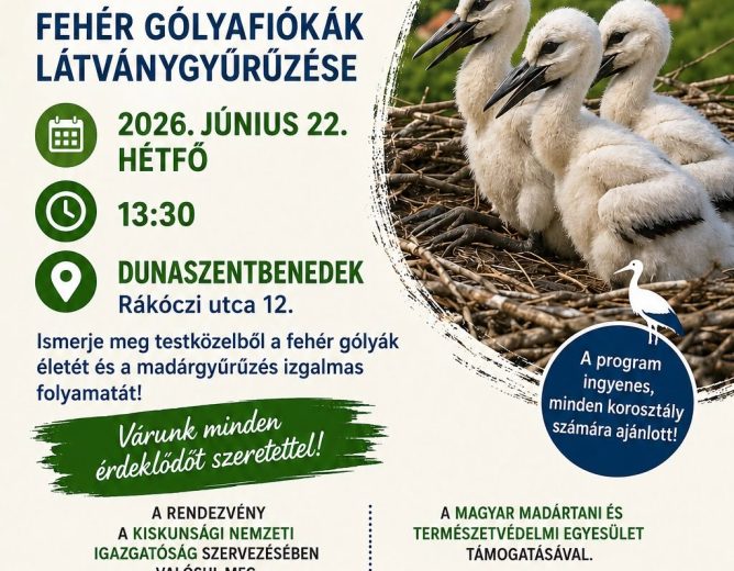 Gólya Road-Show